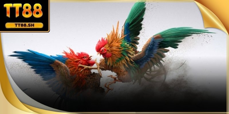 Đá Gà Cựa Sắt
