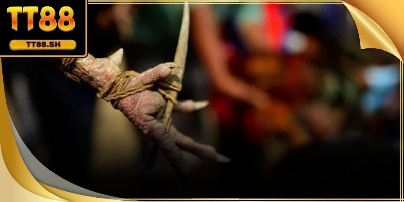 Yếu tố kỹ thuật quyết định lớn đến kết quả trận cựa sắt.